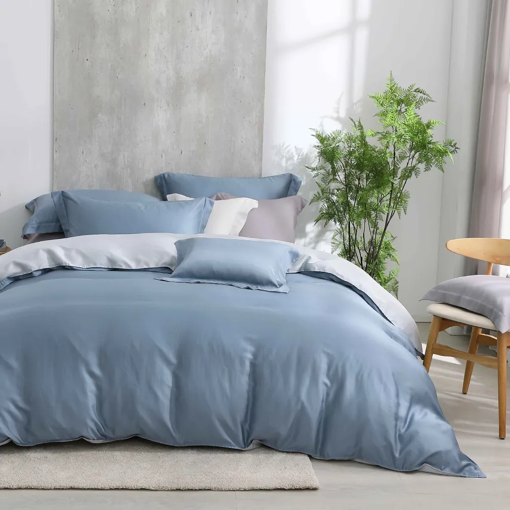鴻宇 雙人床包薄被套組 天絲400織 沐晨藍 台灣製 歷史價格詳細信息