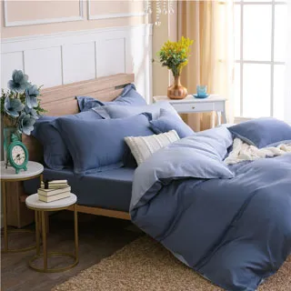 鴻宇 雙人床包薄被套組 天絲400織 沐晨藍 台灣製 歷史價格詳細信息