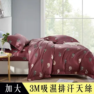 【Betrise佐紅】加大-植萃系列100%奧地利天絲四件式兩用被床包組 歷史價格詳細信息