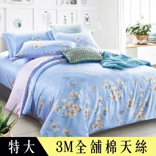 【Betrise貝麗】特大全舖棉-3M專利天絲吸濕排汗四件式兩用被厚包組(採用3M專利吸濕排汗藥劑) 歷史價格詳細信息