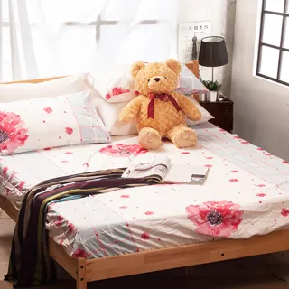 Carolan 人體工學天然乳膠枕-單入 歷史價格詳細信息