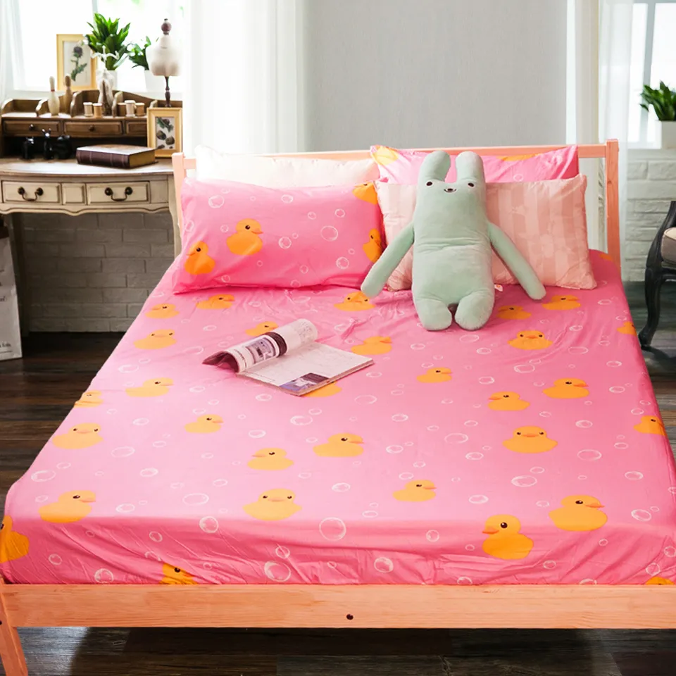 Carolan 麵包型天然乳膠枕-單入 歷史價格詳細信息