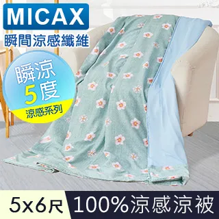【J-bedtime】MICAX專利100%涼感紗x水洗棉透氣四季涼被5X6尺(聖誕之歌-粉) 歷史價格詳細信息