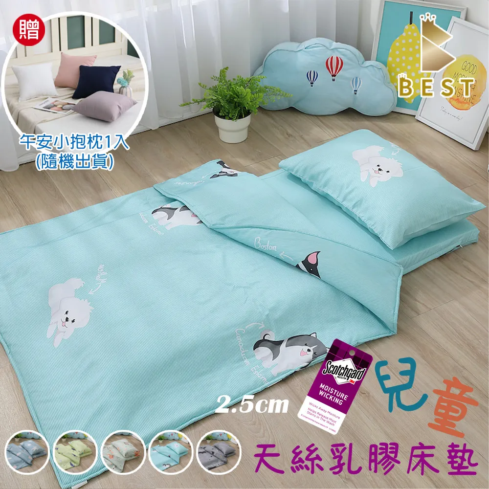 嬰兒床乳膠床墊 + 嬰兒舒眠乳膠枕 (含枕套/床套) 歷史價格詳細信息