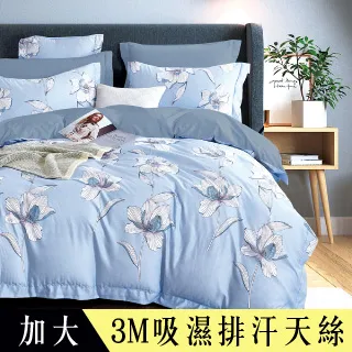 【Betrise追夢】3M吸濕排汗天絲涼被5X6.5尺一入(獨家加大尺寸)-採用3M專利吸濕排汗藥劑 歷史價格詳細信息