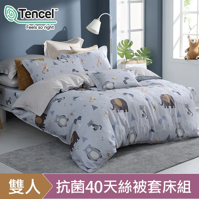 HOYACASA雅樂 加大六件式抗菌60支天絲兩用被床包組 歷史價格詳細信息