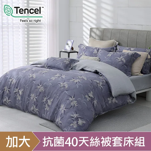 HOYACASA繁實密語 雙人四件式抗菌天絲兩用被床包組 歷史價格詳細信息