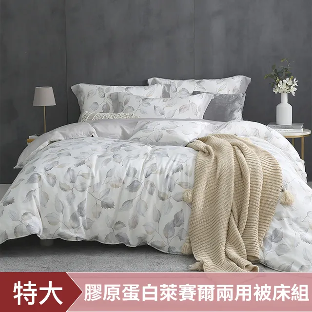 DON 萊賽爾涼感冰芯被(150x180cm)-多款任選 歷史價格詳細信息