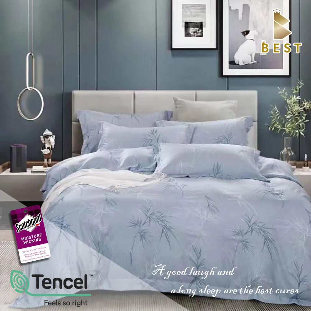 BEST貝思特_雙人天絲兩用被床包組-依昔-棕(3M吸濕排汗專利技術) 歷史價格詳細信息