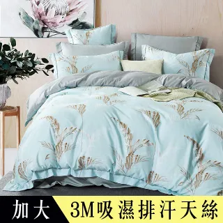 【Betrise井天藍】加大 LOGO系列 300織紗100%純天絲防蹣抗菌四件式兩用被床包組 歷史價格詳細信息