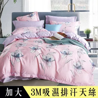 【Betrise朴夢】加大-3M專利天絲吸濕排汗四件式兩用被床包組-採用3M專利吸濕排汗藥劑 歷史價格詳細信息