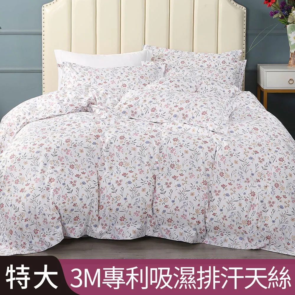 【Betrise寧夏初開】加大-3M專利天絲吸濕排汗四件式兩用被床包組-採用3M專利吸濕排汗藥劑 歷史價格詳細信息