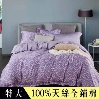 【Betrise非誠勿擾】 雙人 植萃系列100%奧地利天絲六件式鋪棉兩用被床罩組 歷史價格詳細信息