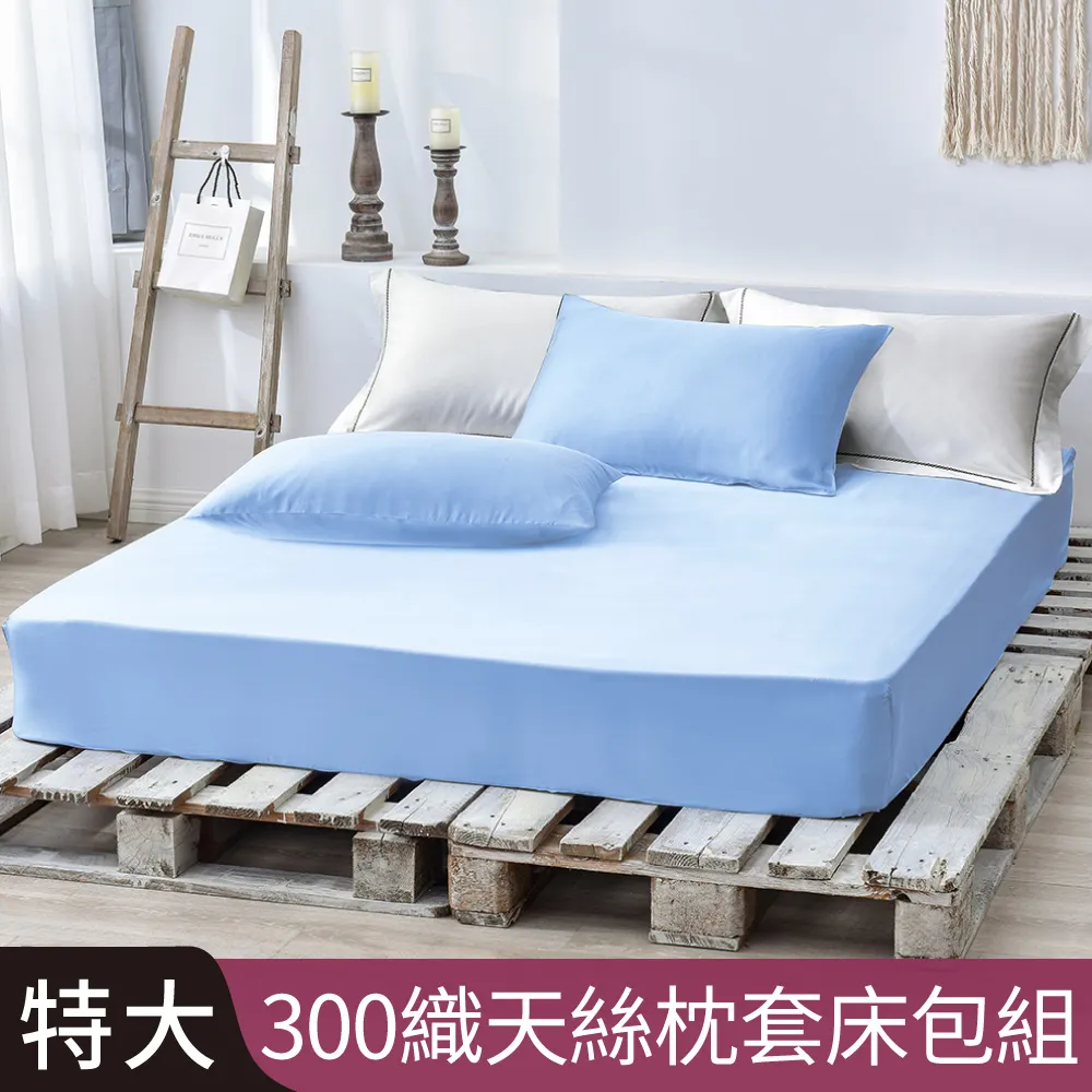 特大100%頂級天絲床包枕套三件組-一粒落塵-灰 歷史價格詳細信息