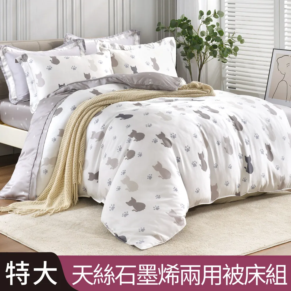 【Betrise貓說午後】C量能系列 單人/雙人/加大/特大 100%奧地利天絲™光淬石墨烯四件式兩用被床包組 可超取 歷史價格詳細信息