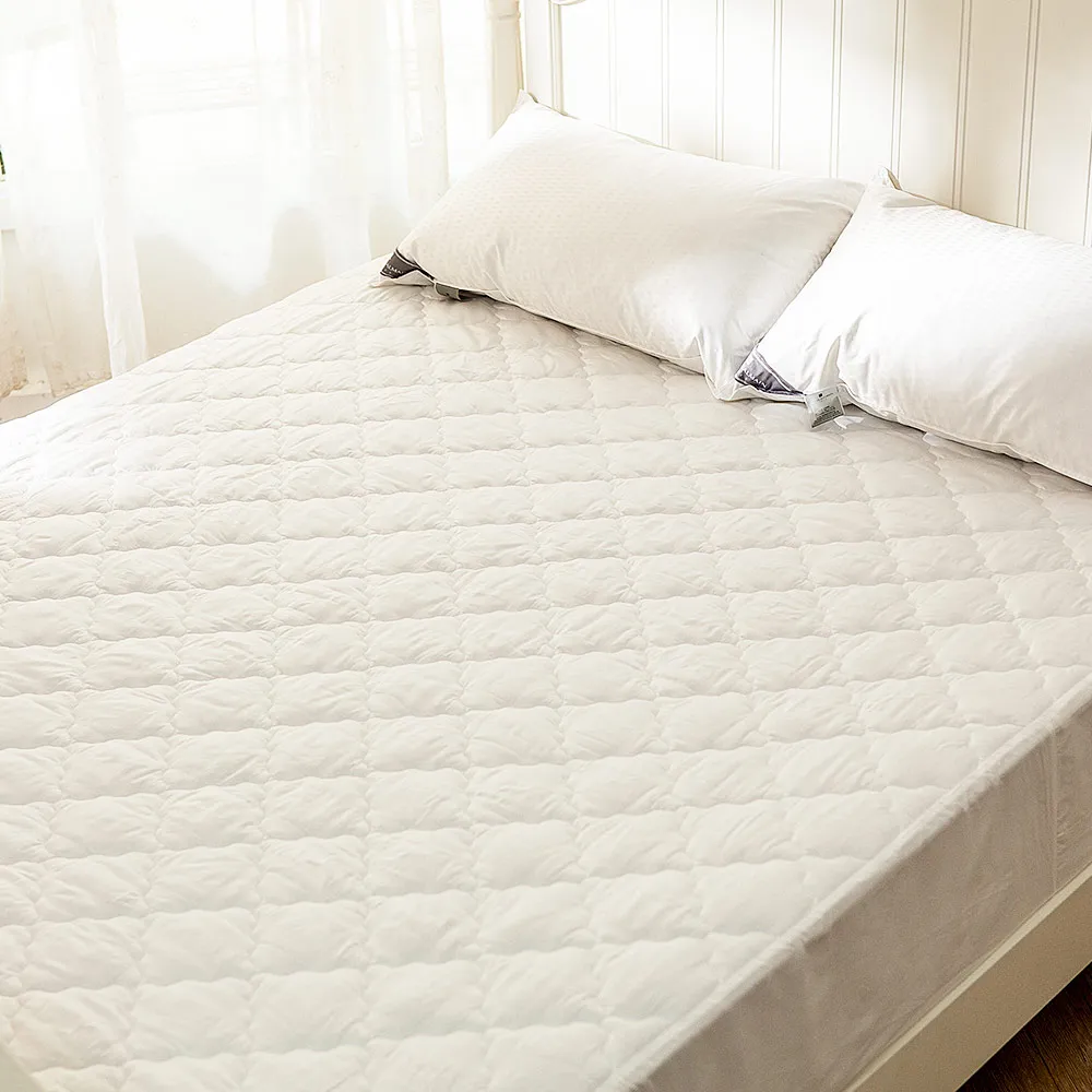 戀家小舖 保潔墊【富貴綢枕頭保潔墊】 一組兩入 保護升級 可水洗易清潔 台灣製造 枕頭巾 枕巾 枕頭布 素色 床包用 歷史價格詳細信息