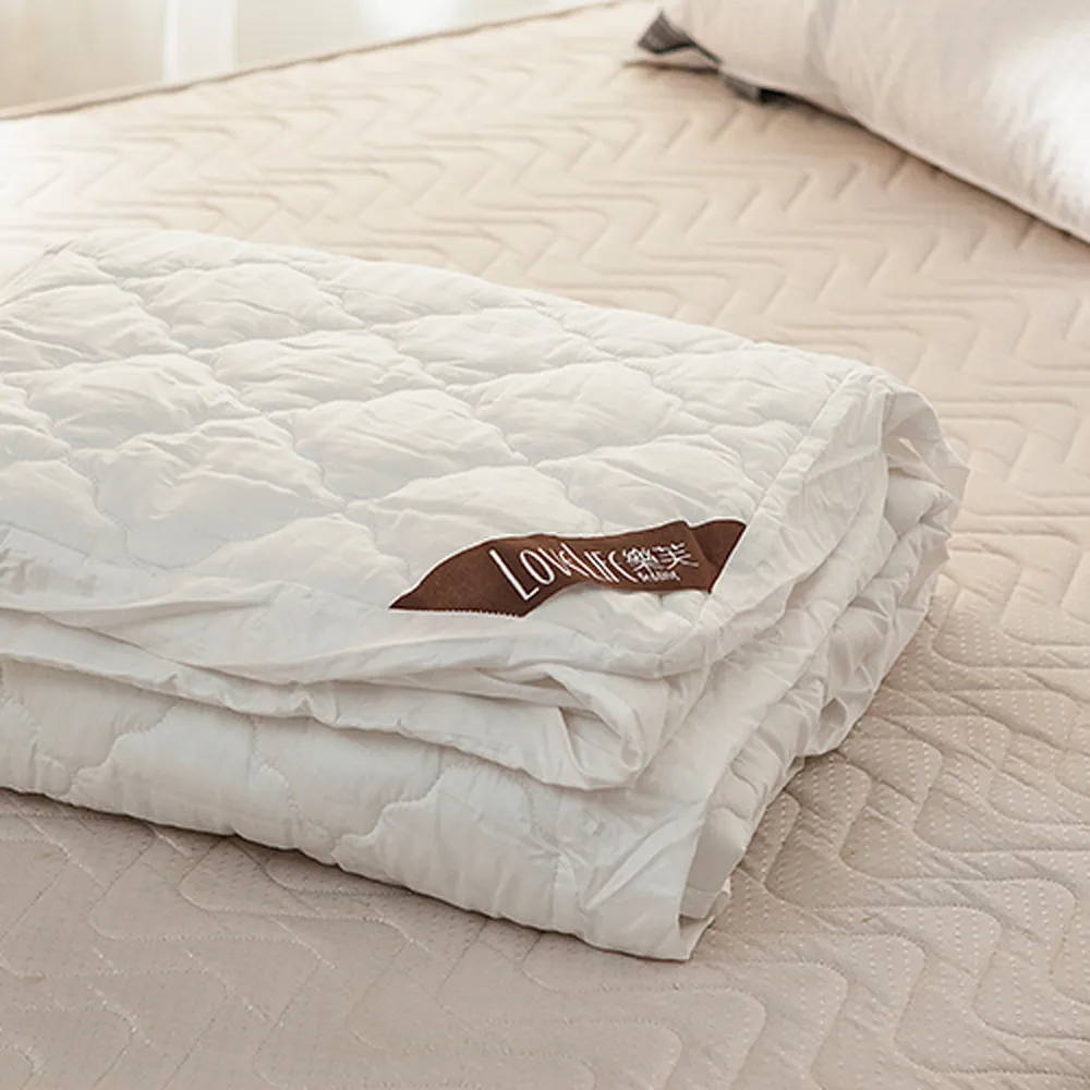 戀家小舖 保潔墊【富貴綢枕頭保潔墊】 一組兩入 保護升級 可水洗易清潔 台灣製造 枕頭巾 枕巾 枕頭布 素色 床包用 歷史價格詳細信息