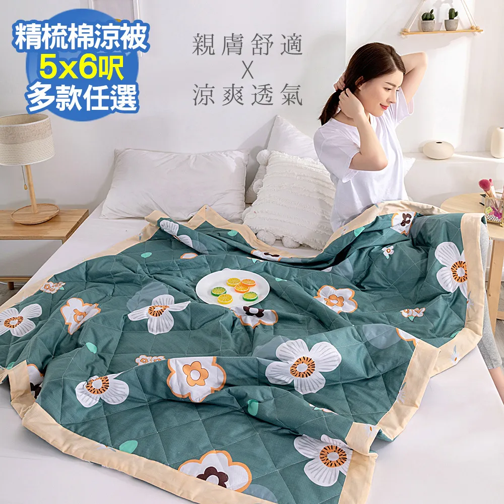 【Aibo】歐式壓框40支精梳棉時尚涼被(中性風格) 歷史價格詳細信息