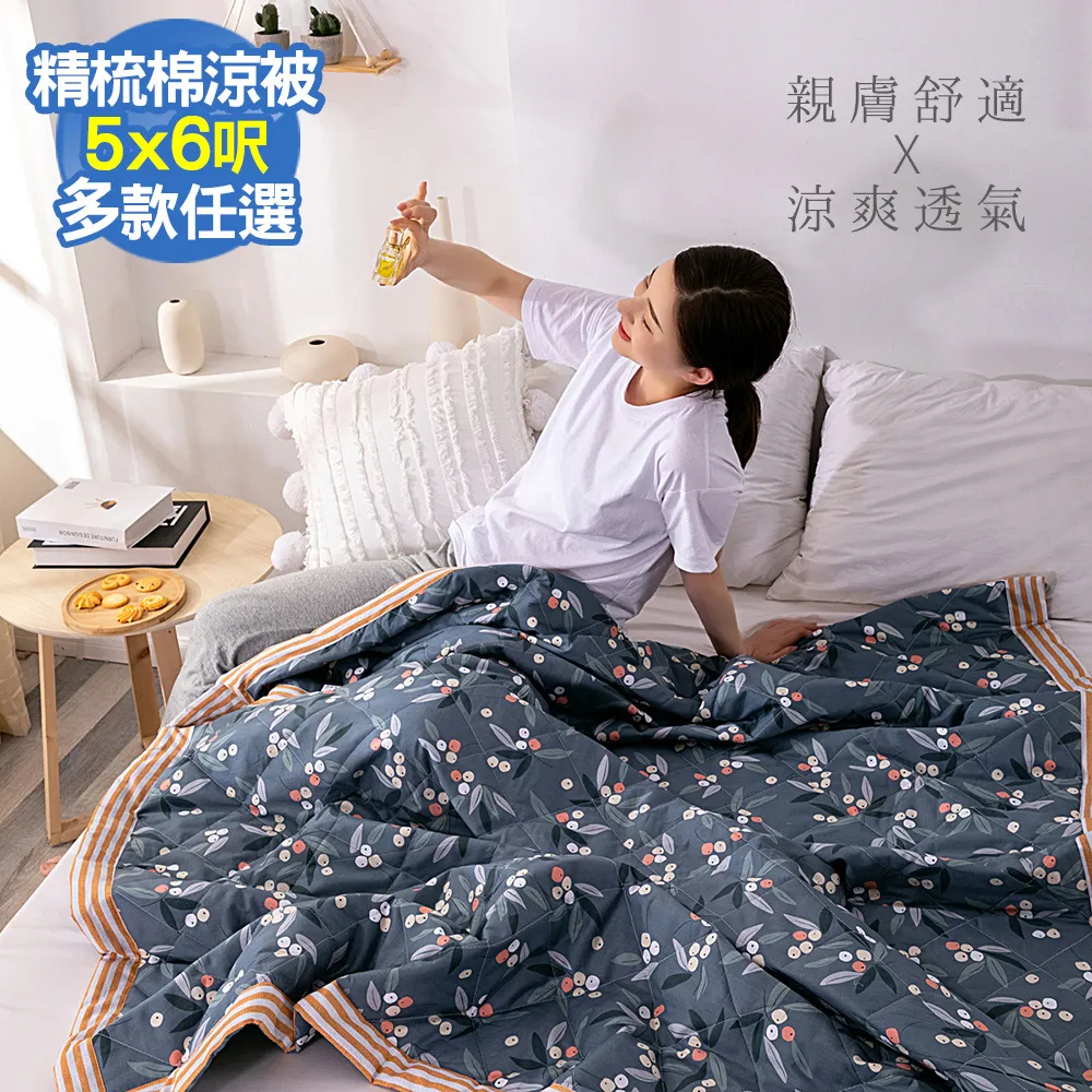 【Aibo】歐式壓框40支精梳棉時尚涼被(中性風格) 歷史價格詳細信息