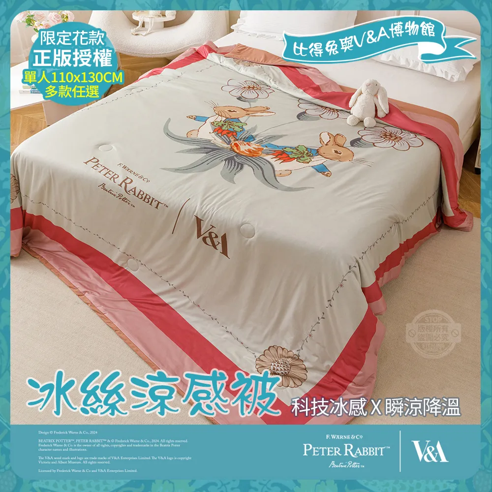 【PETER RABBIT 比得兔】12雙入-細針緹花船形襪 (英國品牌.專櫃精品7832) 歷史價格詳細信息