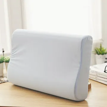 LAMINA 高科技膜防蹣防水記憶枕-1入(灰) 歷史價格詳細信息