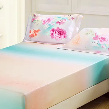 BELLE VIE 天絲超輕量氣對流 三折釋壓薄墊【單人加大3.5尺】床墊/涼墊/和室墊/客廳墊 歷史價格詳細信息