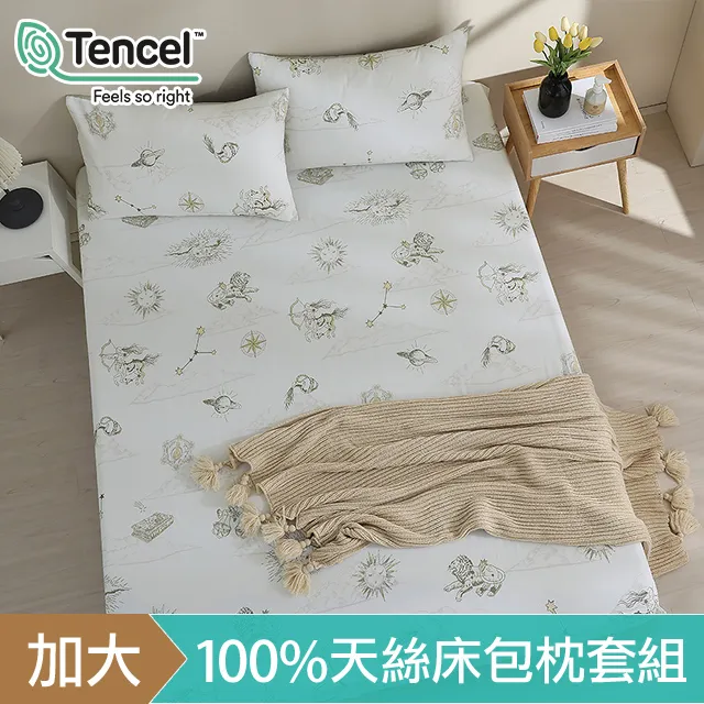 《HOYACASA》漫庭芳草- 100%天絲床包枕套三件組 (雙人/加大) 歷史價格詳細信息