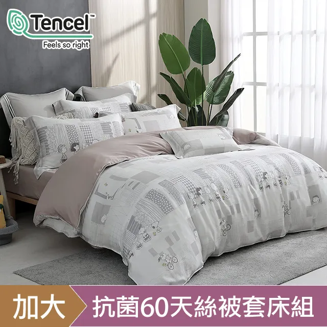 【HOYACASAx史努比聯名系列】- 太空漫步 100%萊賽爾兩用被套床包四件組(單人/雙人/加大/特大) 歷史價格詳細信息