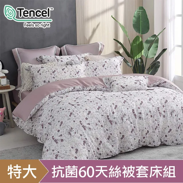 【HOYACASAx史努比聯名系列】- 太空漫步 100%萊賽爾兩用被套床包四件組(單人/雙人/加大/特大) 歷史價格詳細信息