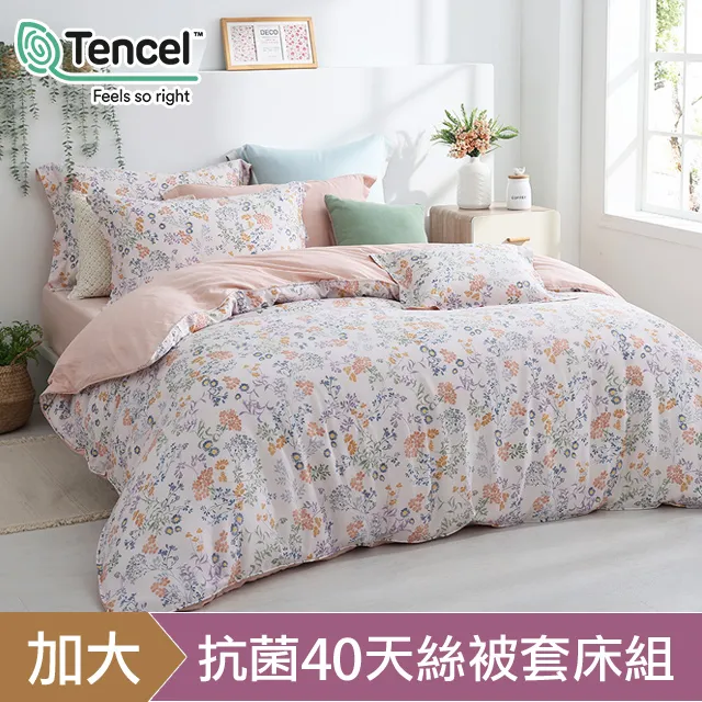 《HOYACASA暖花春近》 四件式抗菌純棉兩用被床包組(雙人/加大) 歷史價格詳細信息