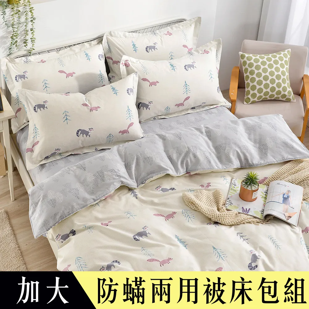 【Betrise】小松鼠 單人-環保印染德國防螨抗菌100%精梳棉三件式兩用被床包組 歷史價格詳細信息