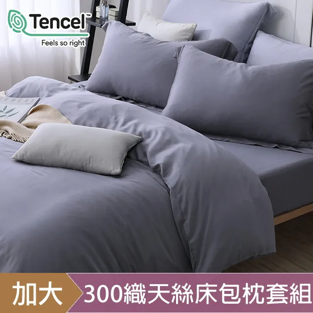 HOYACASA星辰銀 加大四件式60支天絲兩用被床包組 歷史價格詳細信息