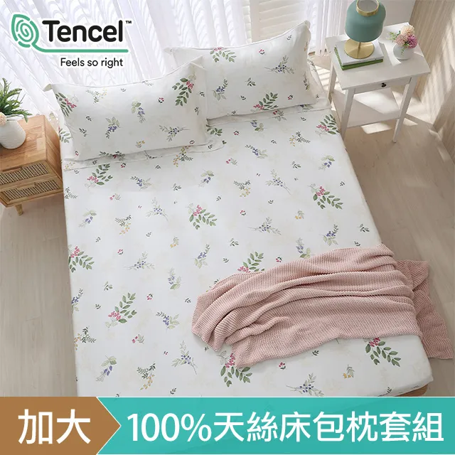 《HOYACASA》加大100%天絲床包枕套三件組-歡樂夥伴 歷史價格詳細信息