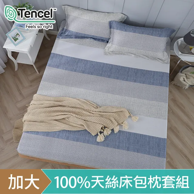 《HOYACASA》加大100%天絲床包枕套三件組-歡樂夥伴 歷史價格詳細信息