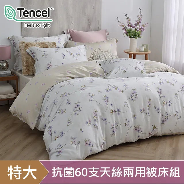 HOYACASA洛妮卡 雙人四件式抗菌天絲兩用被床包組 歷史價格詳細信息