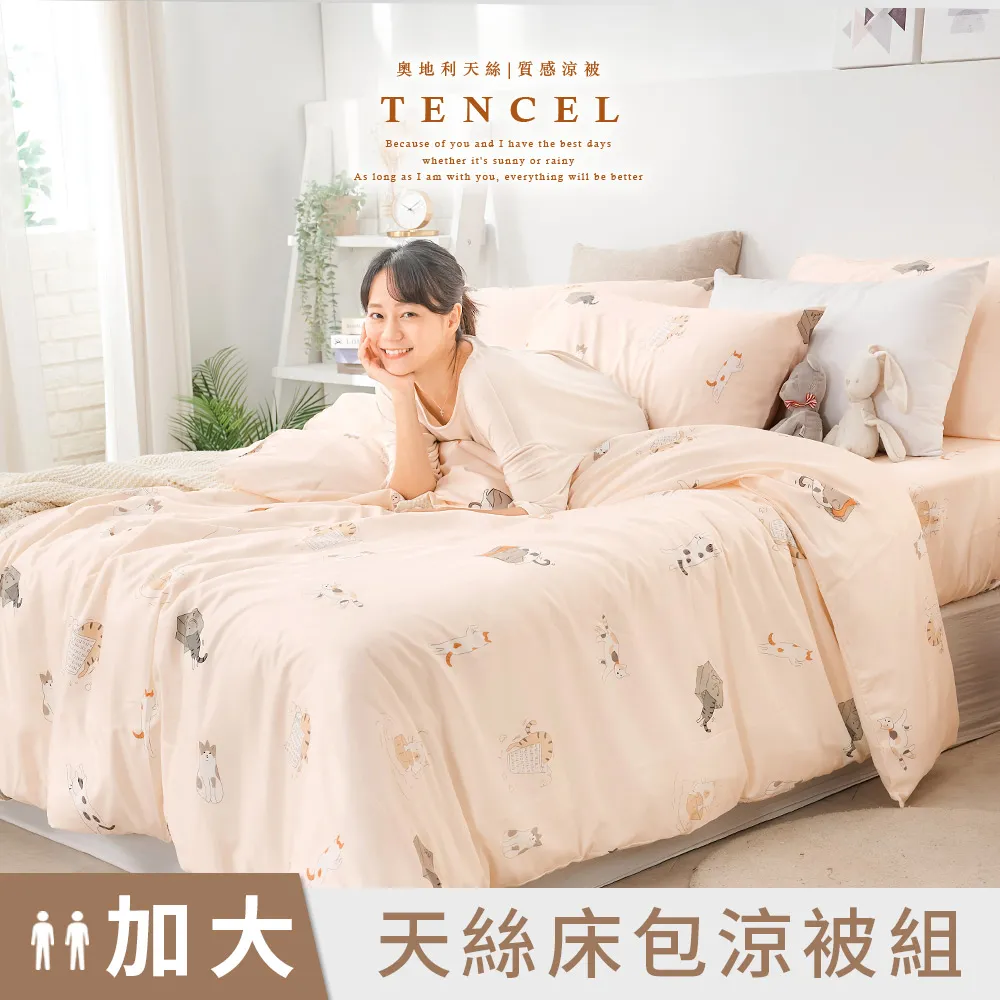 《DUYAN 竹漾》天絲雙人加大床包三件組- 淺青花語 歷史價格詳細信息