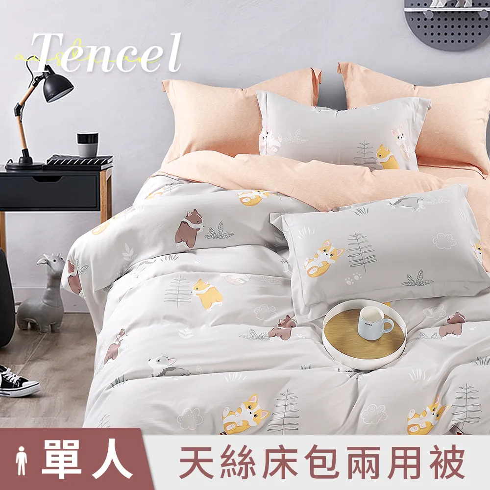 【DUYAN 竹漾】奧地利天絲單人二件組＋雙人鋪棉兩用被 / 心願繡花 台灣製 歷史價格詳細信息