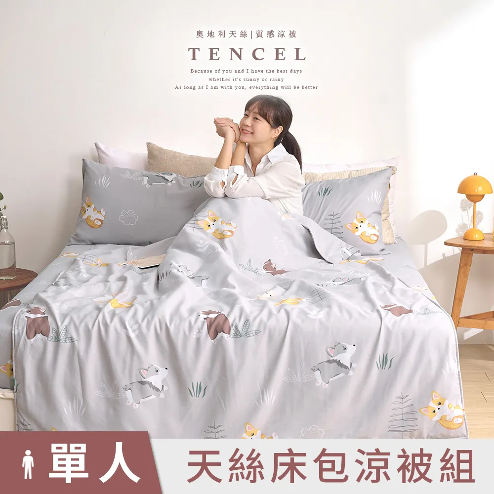 單人涼被 - 天絲絨 超細纖維 - 溫馨時刻1/3 歷史價格詳細信息