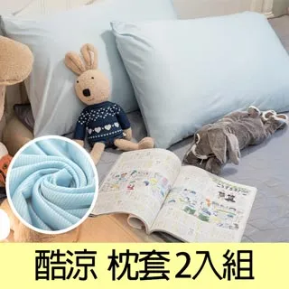 Anna Home 台灣製水鳥羽絨被-雙人6尺X7尺 歷史價格詳細信息