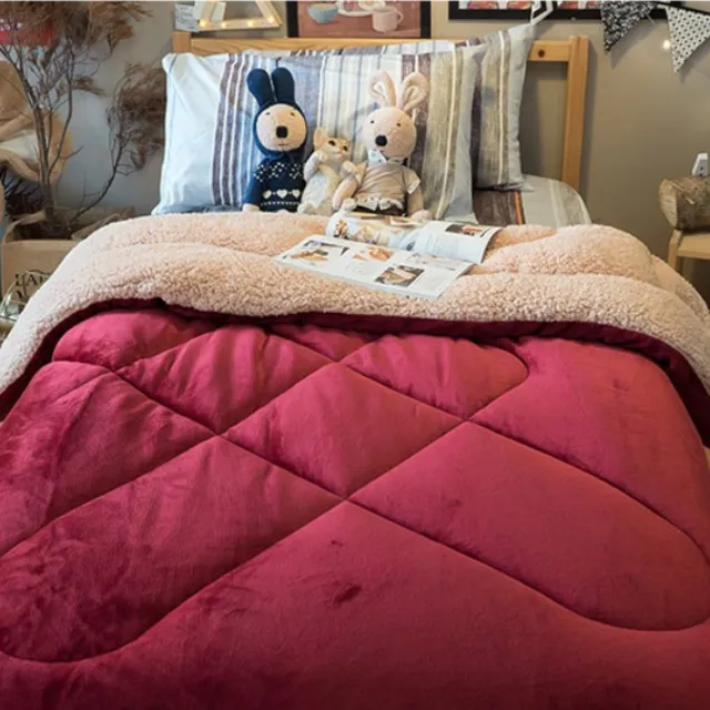 Anna Home 公主掛帳蚊帳 加大6x6.2尺、Kingsize6x7尺床適用 彈性鋼材製 防蚊力佳 夏日必備(不含掛勾) 歷史價格詳細信息