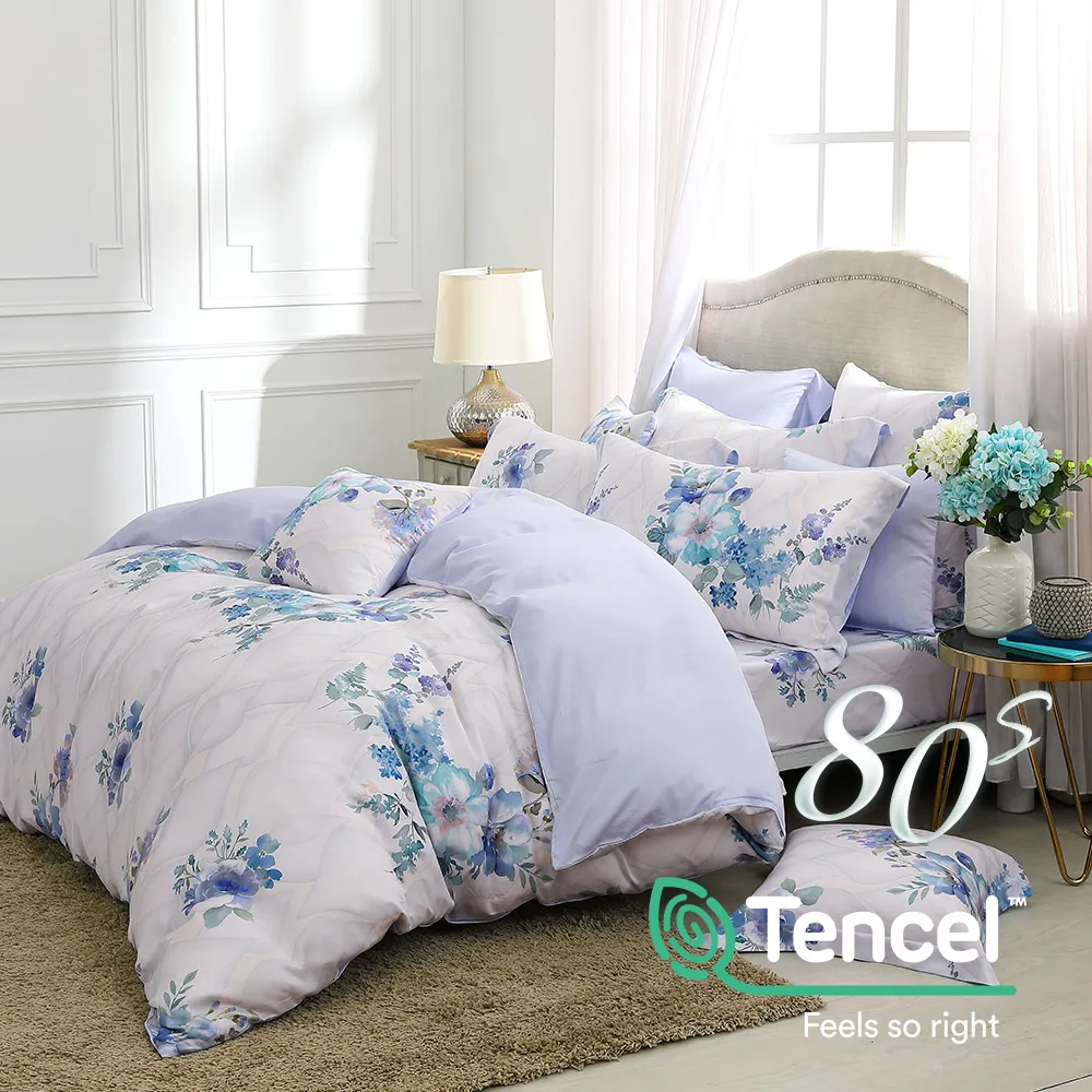 鴻宇 雙人特大床包兩用被套組 天絲 萊賽爾 森友同樂會 台灣製 歷史價格詳細信息