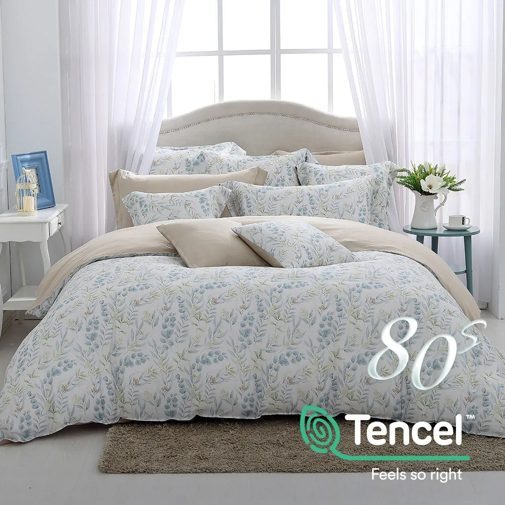 鴻宇 雙人薄被套 天絲400織 碧翠絲 台灣製 歷史價格詳細信息