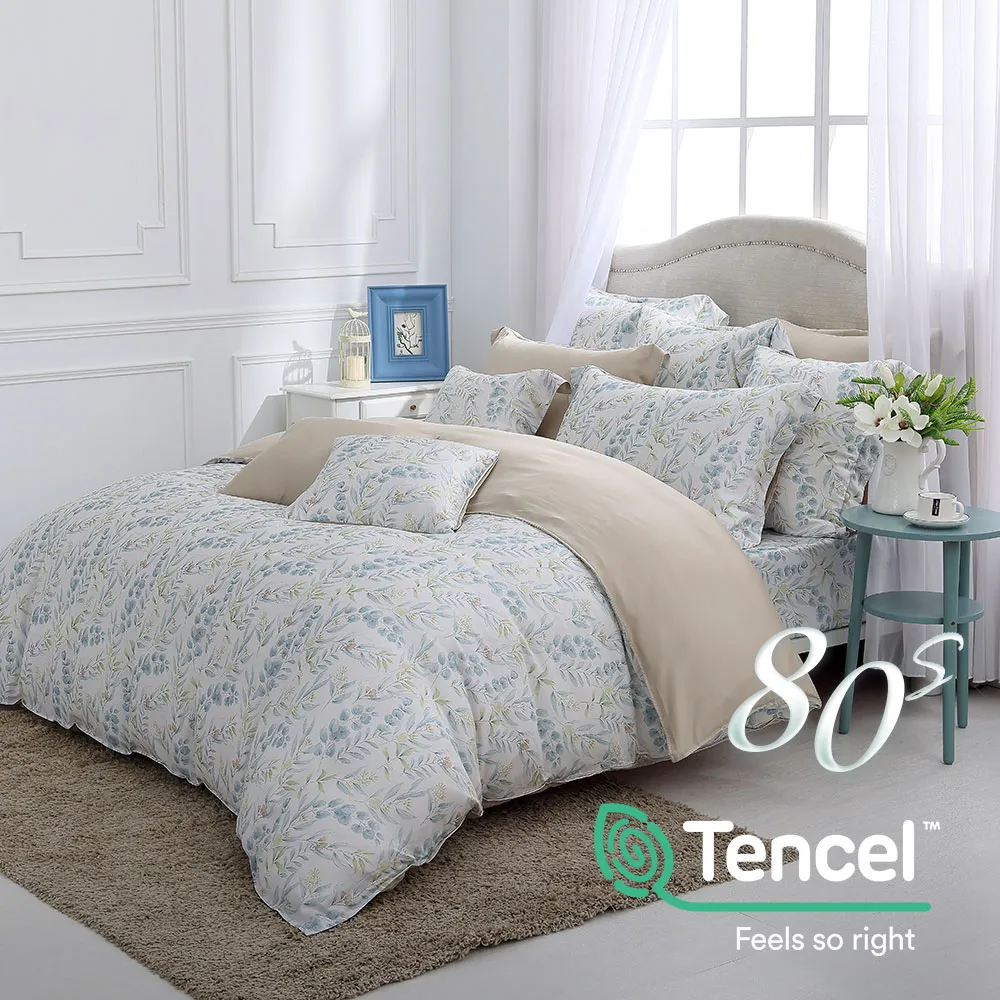 鴻宇 雙人加大床包薄被套組 天絲300織 赫本絲 台灣製 歷史價格詳細信息