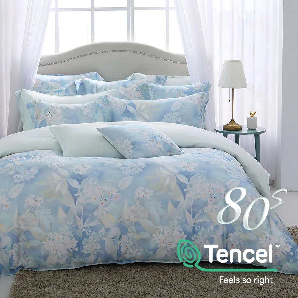 鴻宇 雙人加大床包兩用被套組 天絲300織 克卜勒 台灣製 歷史價格詳細信息