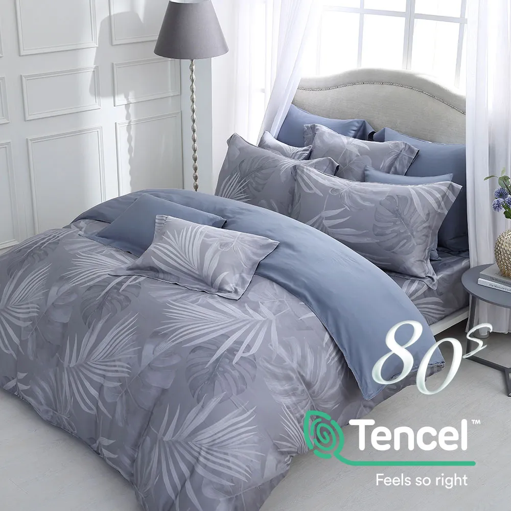 鴻宇 雙人床包兩用被套組 天絲300織 克卜勒 台灣製 歷史價格詳細信息