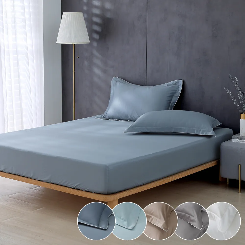 鴻宇 SUPIMA500織 歐式壓框枕套2入 清雅春芽 刺繡綠M2657 歷史價格詳細信息