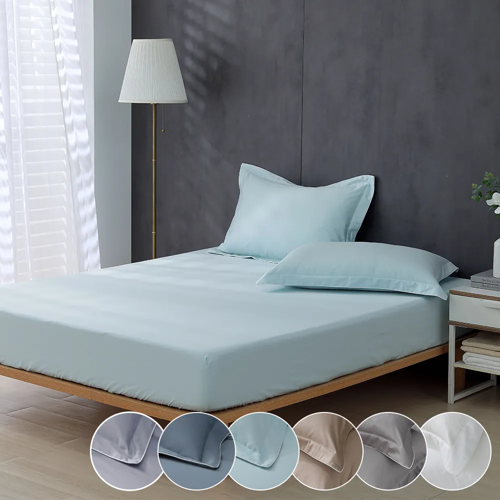 鴻宇 SUPIMA500織 歐式壓框枕套2入 清雅春芽 刺繡綠M2657 歷史價格詳細信息