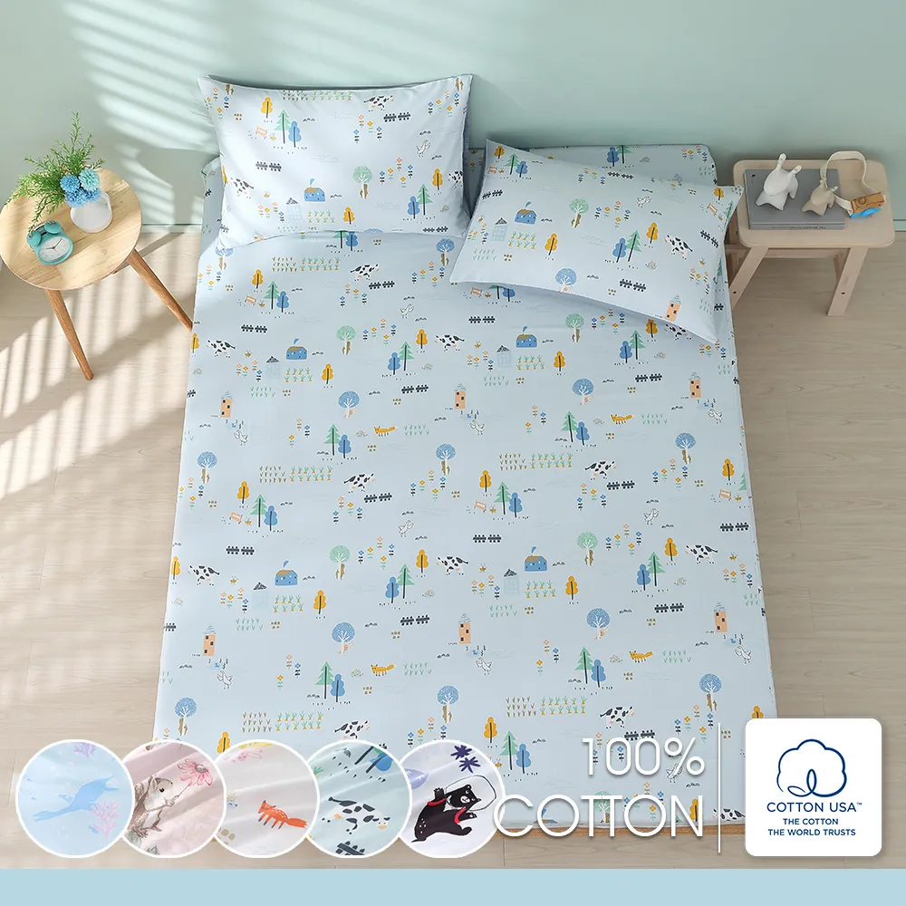 鴻宇 100%精梳棉 純棉枕套2入 多款任選 台灣製 歷史價格詳細信息