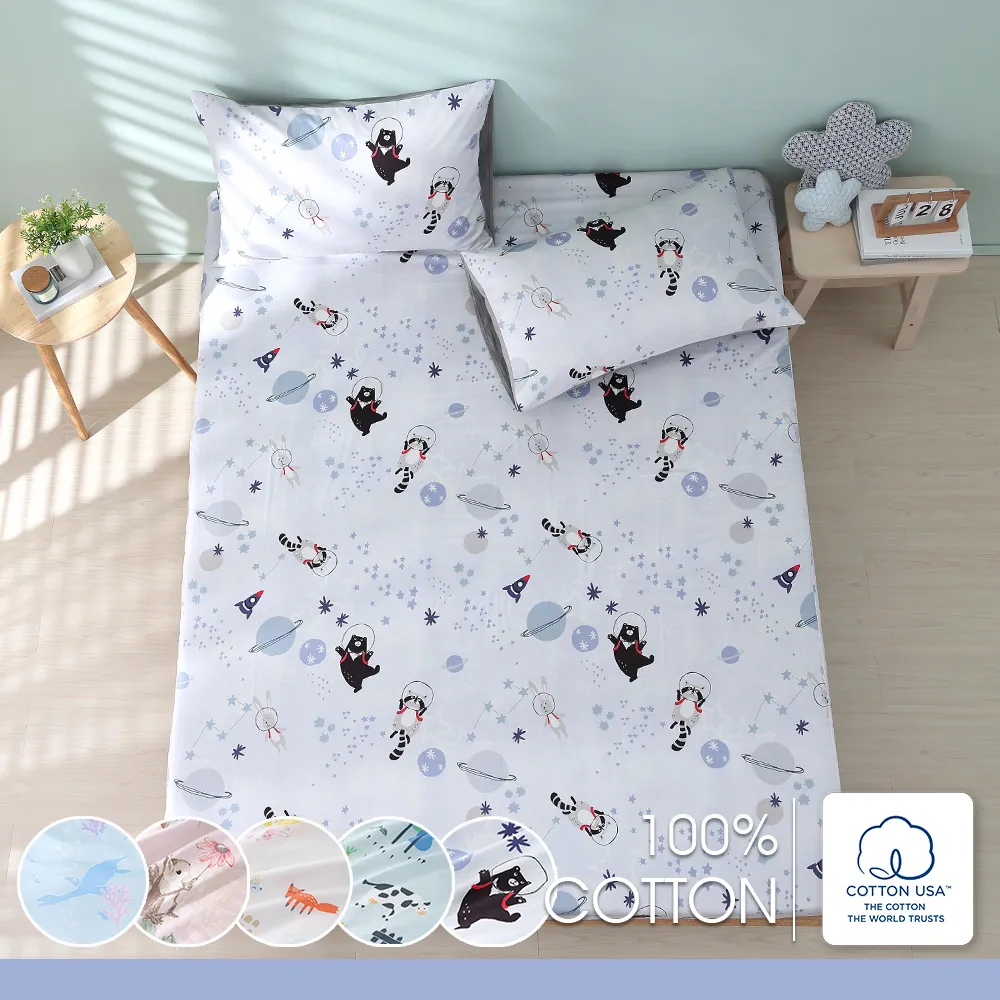 鴻宇 100%精梳棉 純棉枕套2入 多款任選 台灣製 歷史價格詳細信息