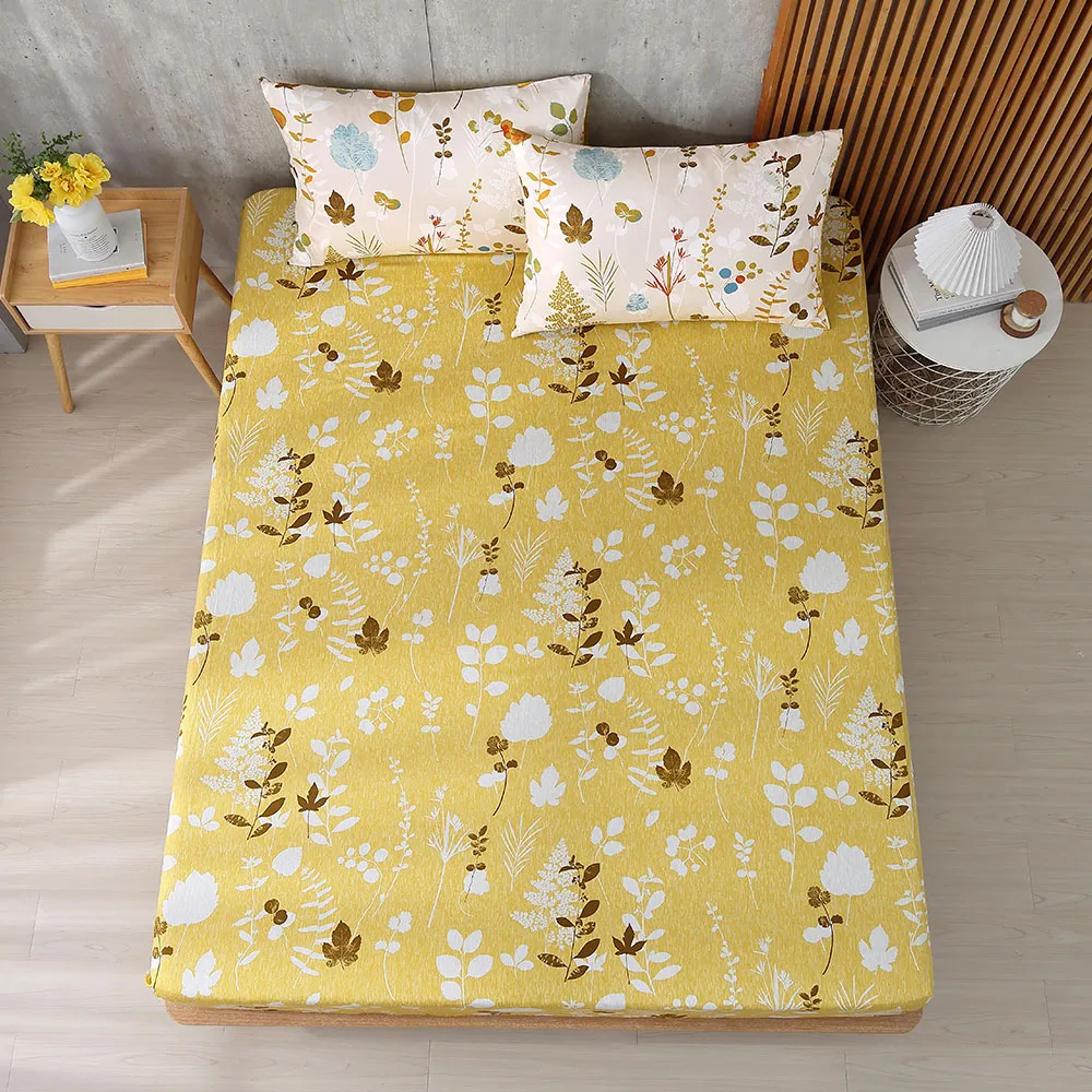 鴻宇 床包枕套組 精梳純棉 卡芮 台灣製C20129 歷史價格詳細信息